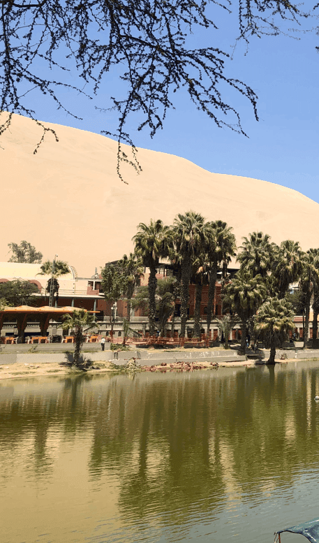 Guía de Ica y Huacachina 2026: Oasis, Buggies y Bodegas de Pisco - Imagen 1