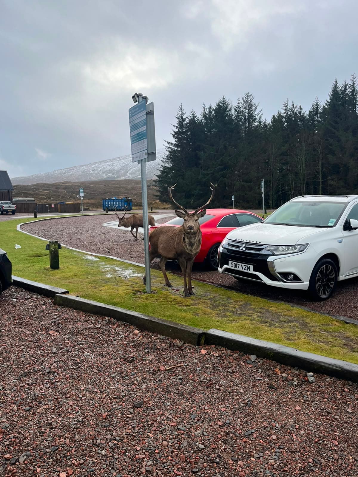 Itinerario por Escocia: la ruta perfecta de 7, 10 y 14 días con consejos útiles - Imagen 7