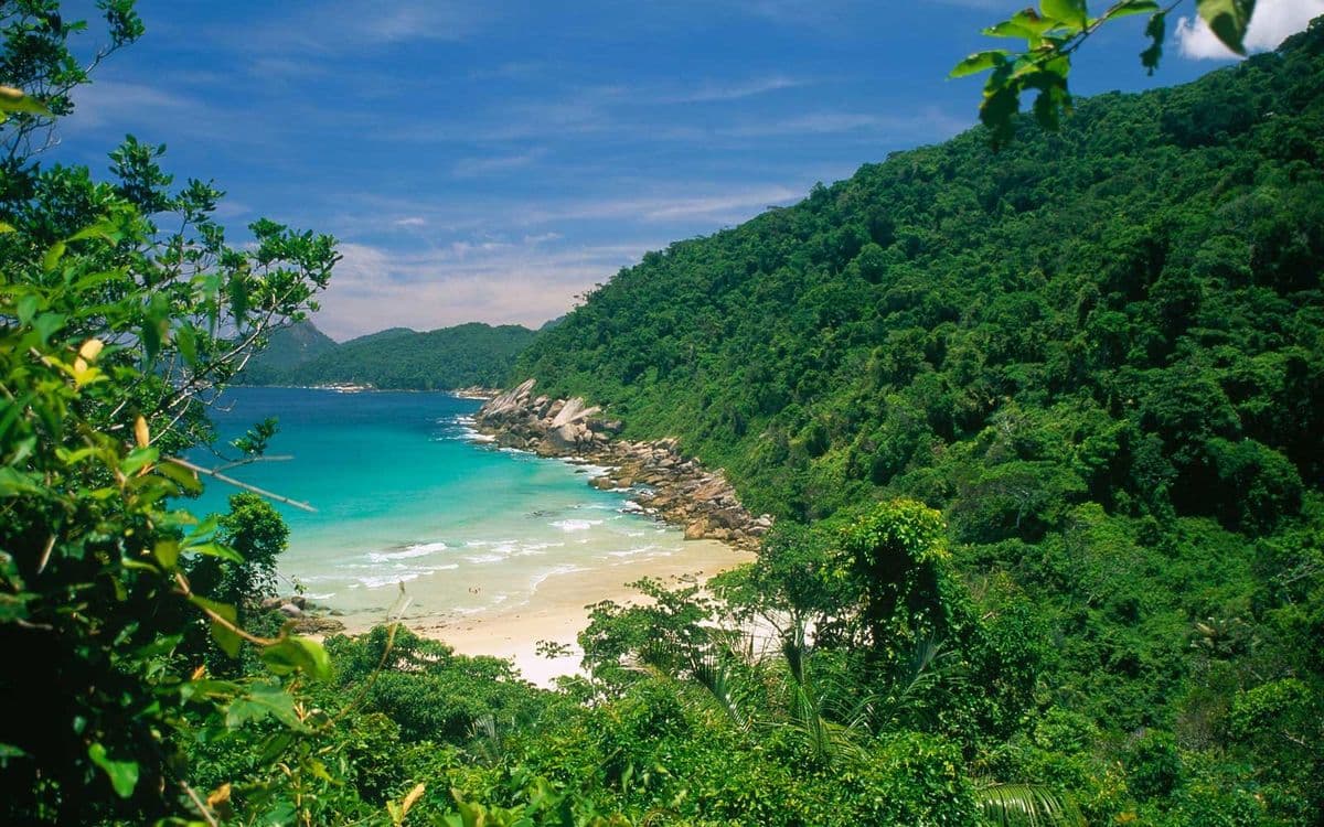 High humidity (80–90%) makes the jungle very green, but trails can be slippery and mosquitoes are common.