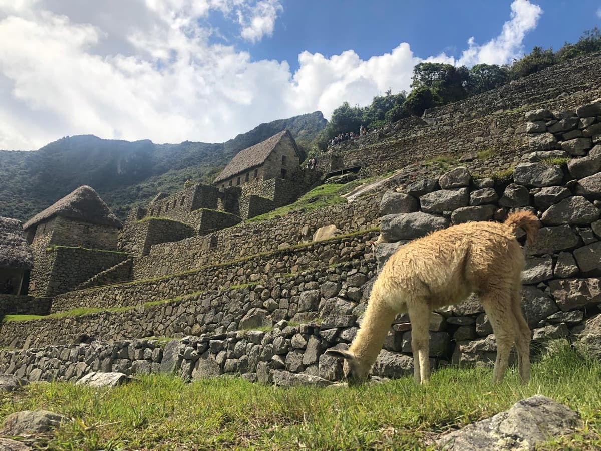 Guía Machu Picchu 2026: Nuevos Circuitos, Entradas y Consejos de Experto - Imagen 2