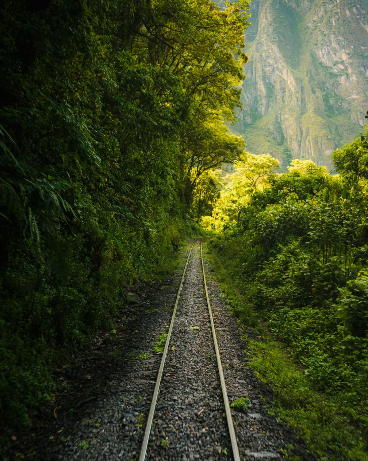 Guía Machu Picchu 2026: Nuevos Circuitos, Entradas y Consejos de Experto - Imagen 15