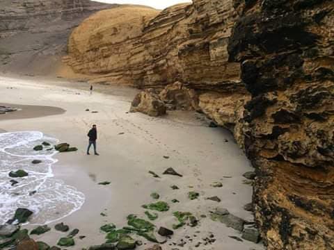 Guía de Paracas 2026: Islas Ballestas, Reserva Nacional y Consejos - Imagen 6