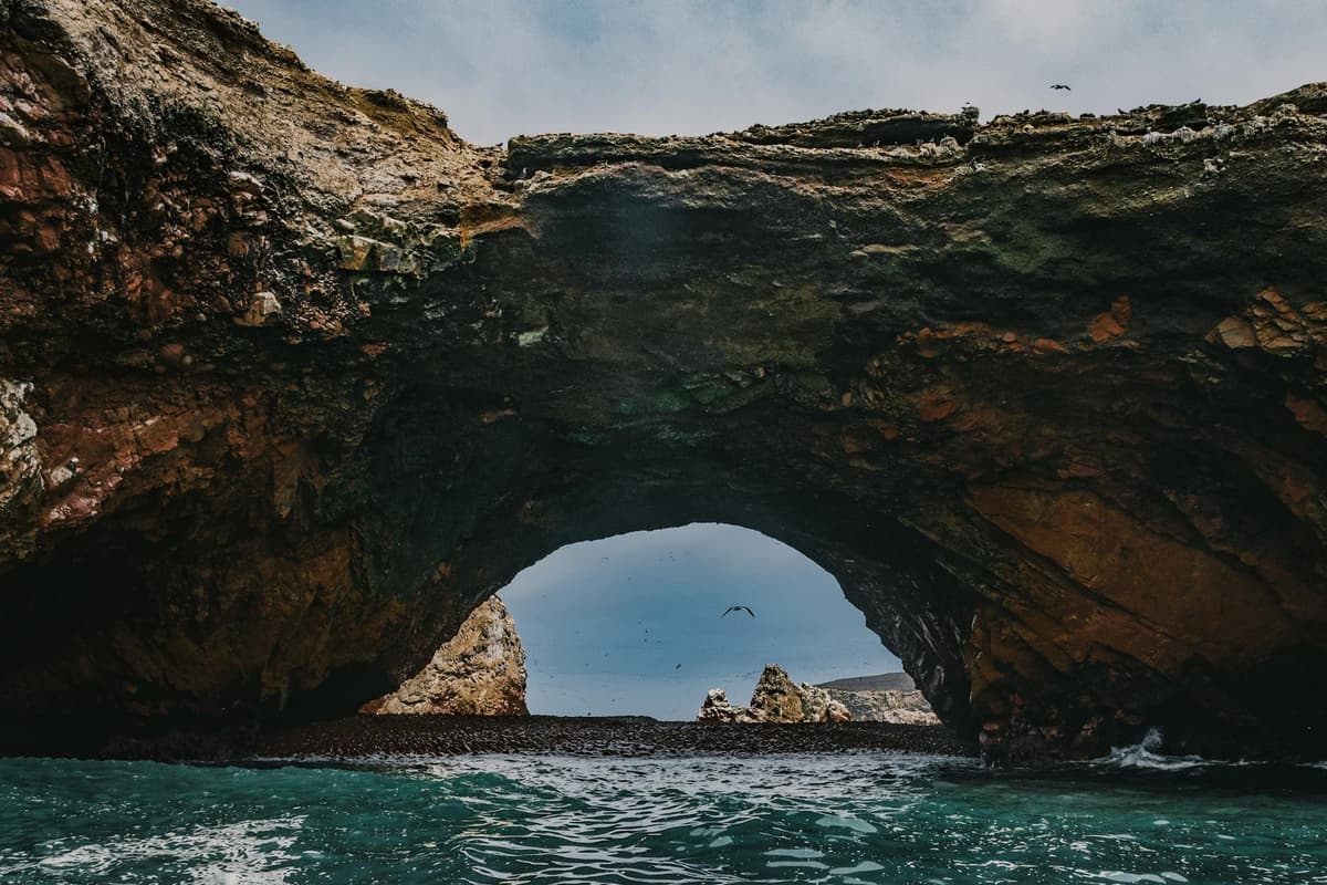 Guía de Paracas 2026: Islas Ballestas, Reserva Nacional y Consejos - Imagen 8
