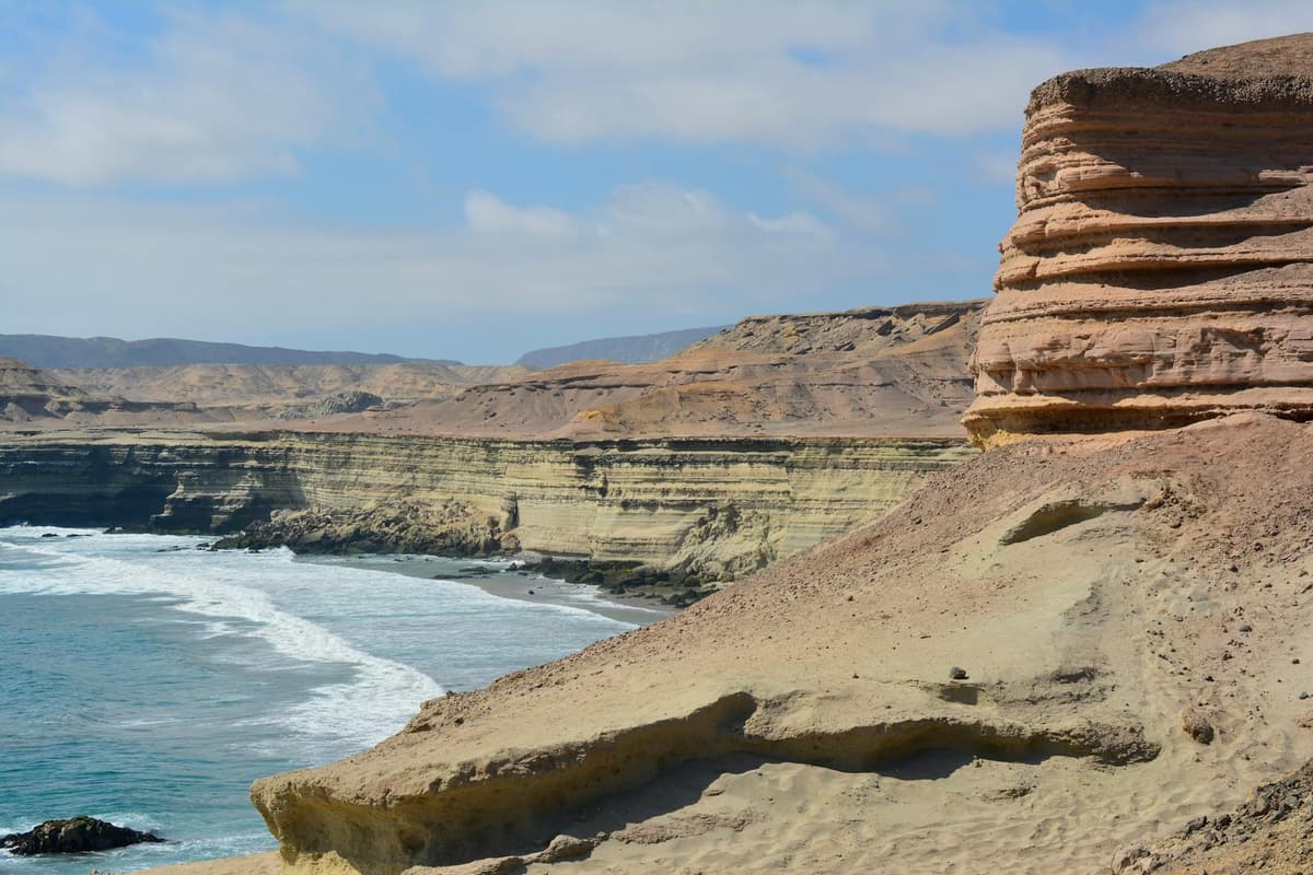 Guía de Paracas 2026: Islas Ballestas, Reserva Nacional y Consejos - Imagen 9