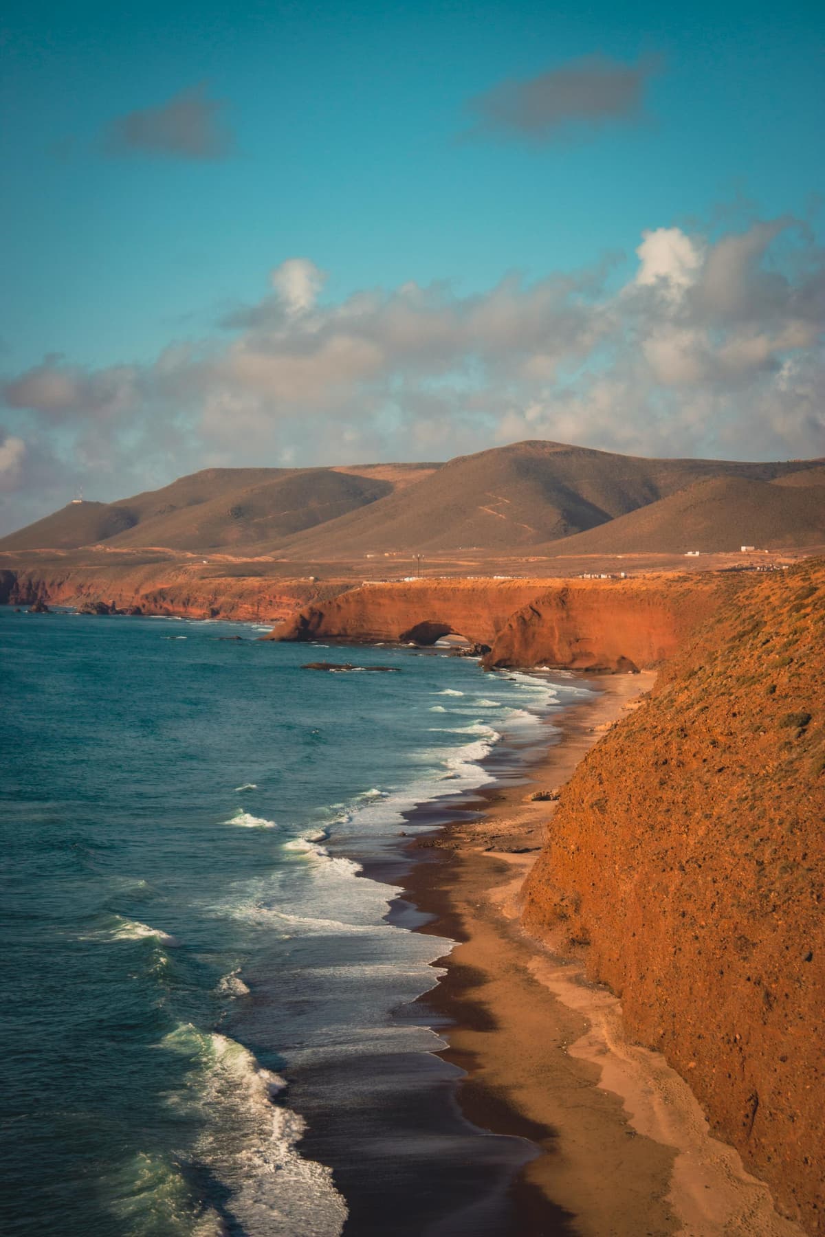 Guía de Paracas 2026: Islas Ballestas, Reserva Nacional y Consejos - Imagen 10
