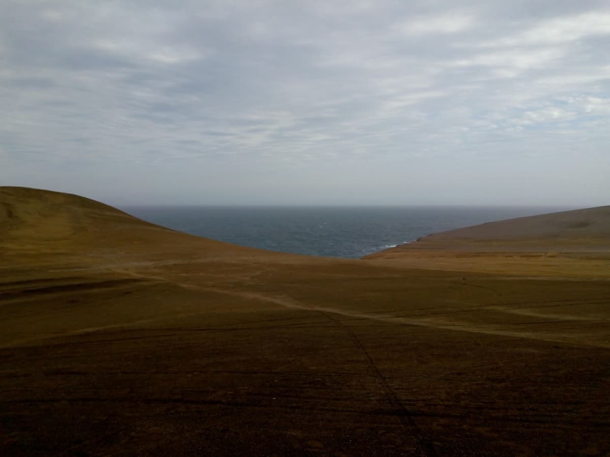Guía de Paracas 2026: Islas Ballestas, Reserva Nacional y Consejos - Imagen 2