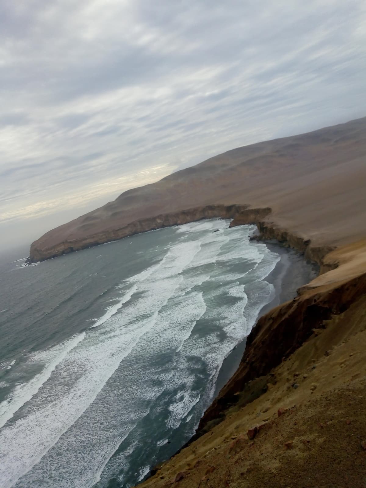 Guía de Paracas 2026: Islas Ballestas, Reserva Nacional y Consejos - Imagen 3