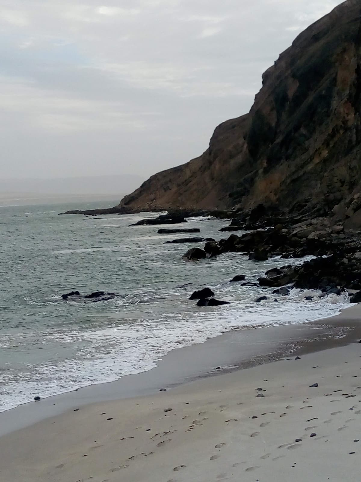 Guía de Paracas 2026: Islas Ballestas, Reserva Nacional y Consejos - Imagen 4