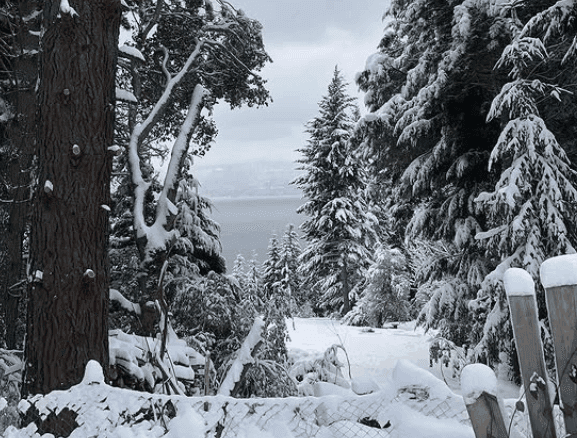 Patagonian landscape during winter.