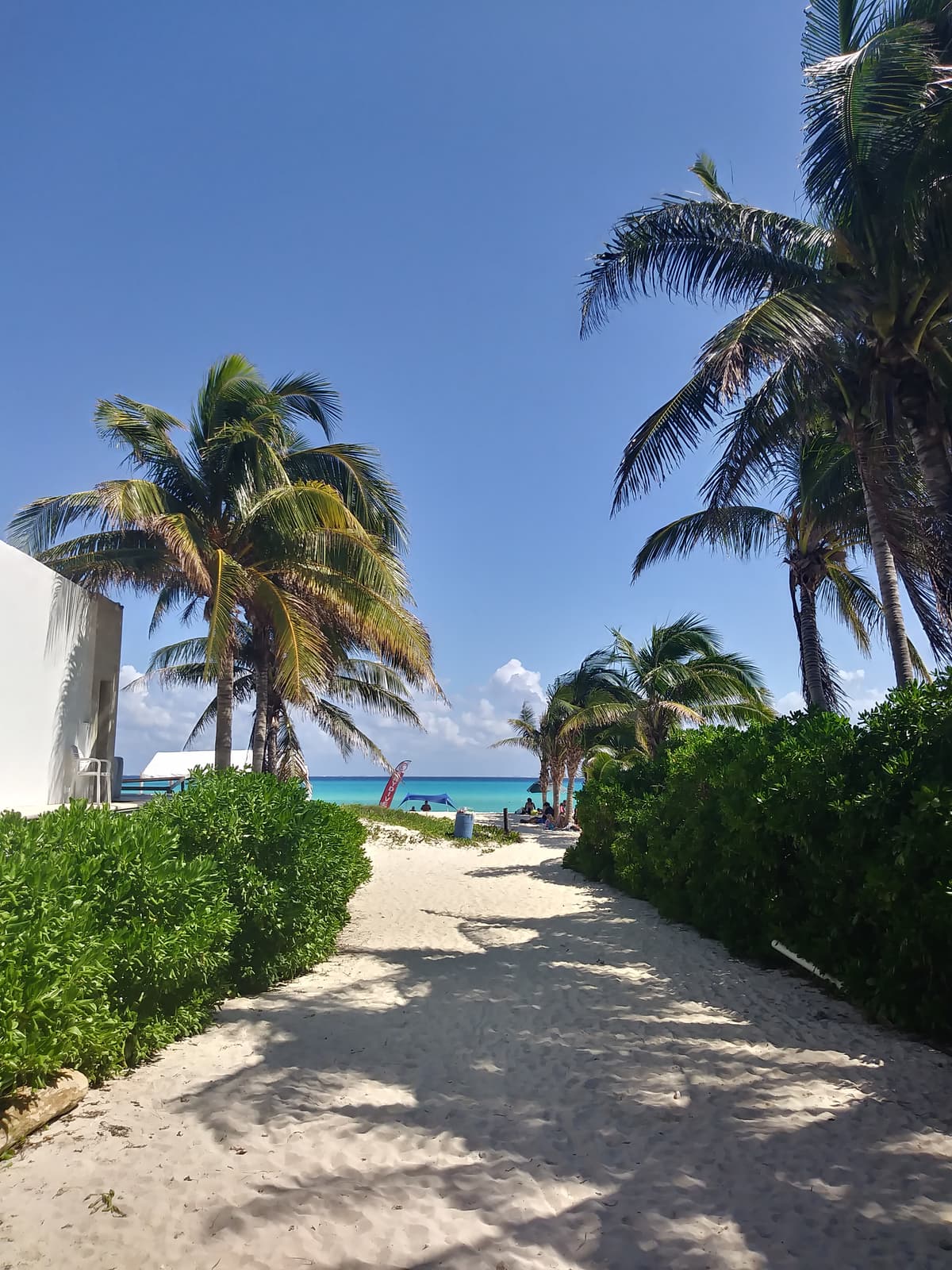 Playa del Carmen Travel Guide 2026: What to Do and Local Tips - Imagen 2