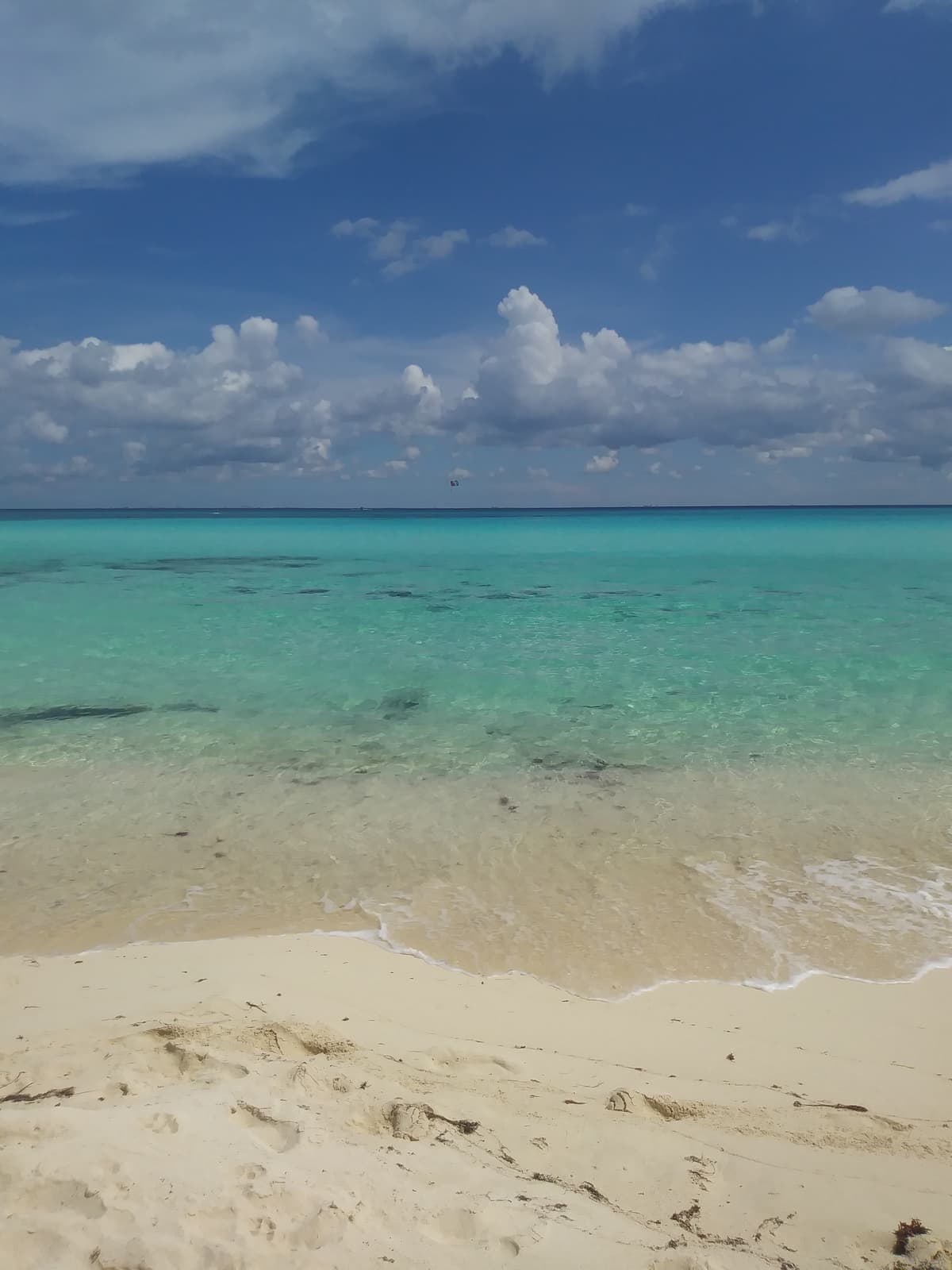 Playa del Carmen Travel Guide 2026: What to Do and Local Tips - Imagen 3