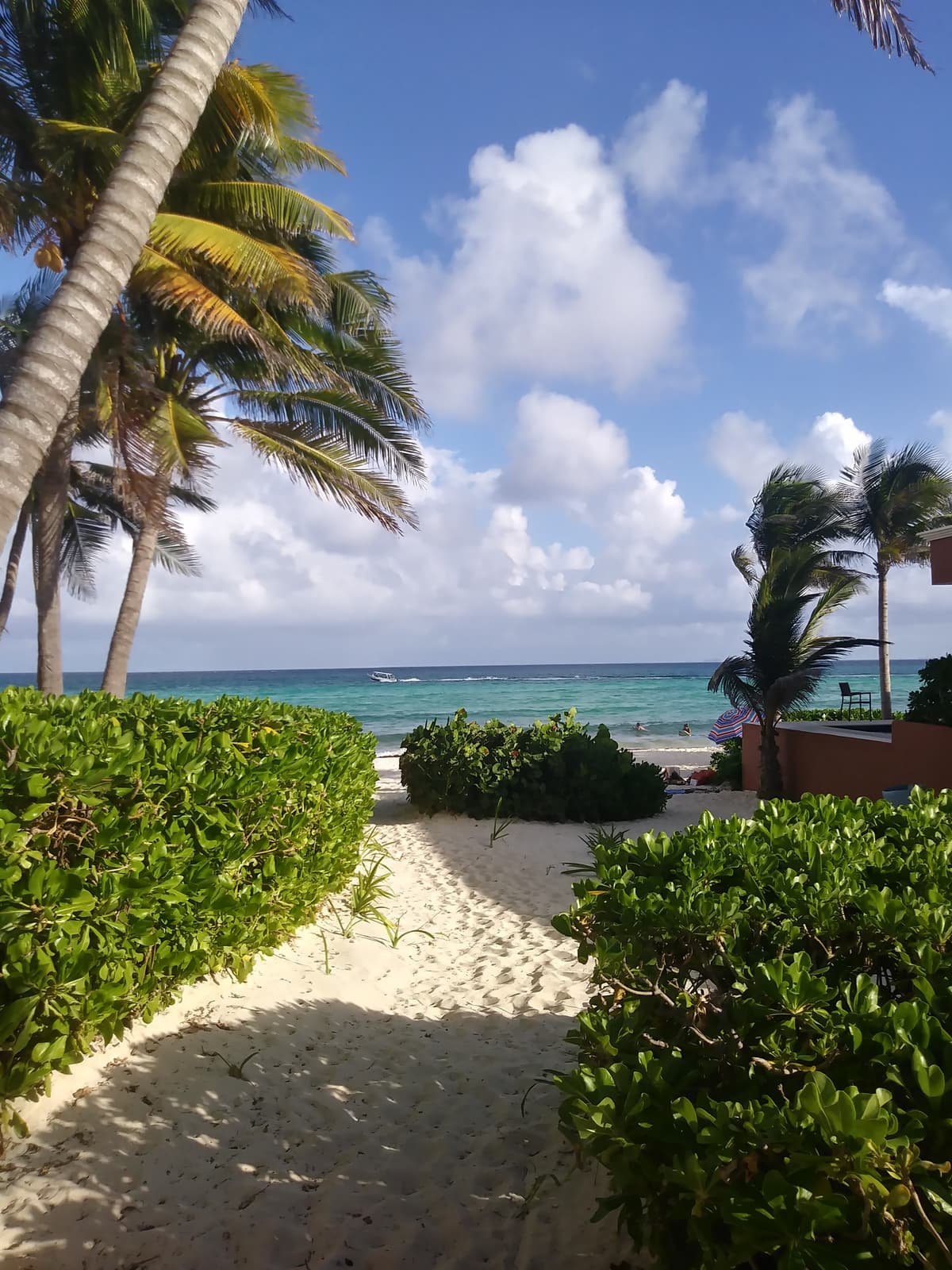 Playa del Carmen Travel Guide 2026: What to Do and Local Tips - Imagen 9