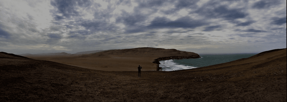 Guía de Paracas 2026: Islas Ballestas, Reserva Nacional y Consejos - Imagen 12