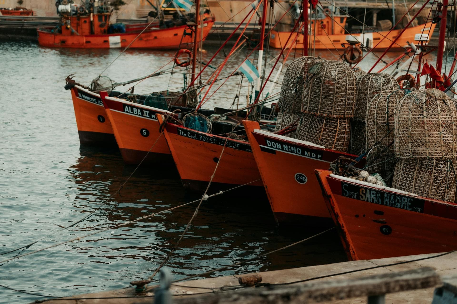 Clásicas lanchitas amarillas en el puerto de Mar del Plata.
