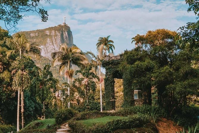 Rio de Janeiro Botanical Garden, Brazil.