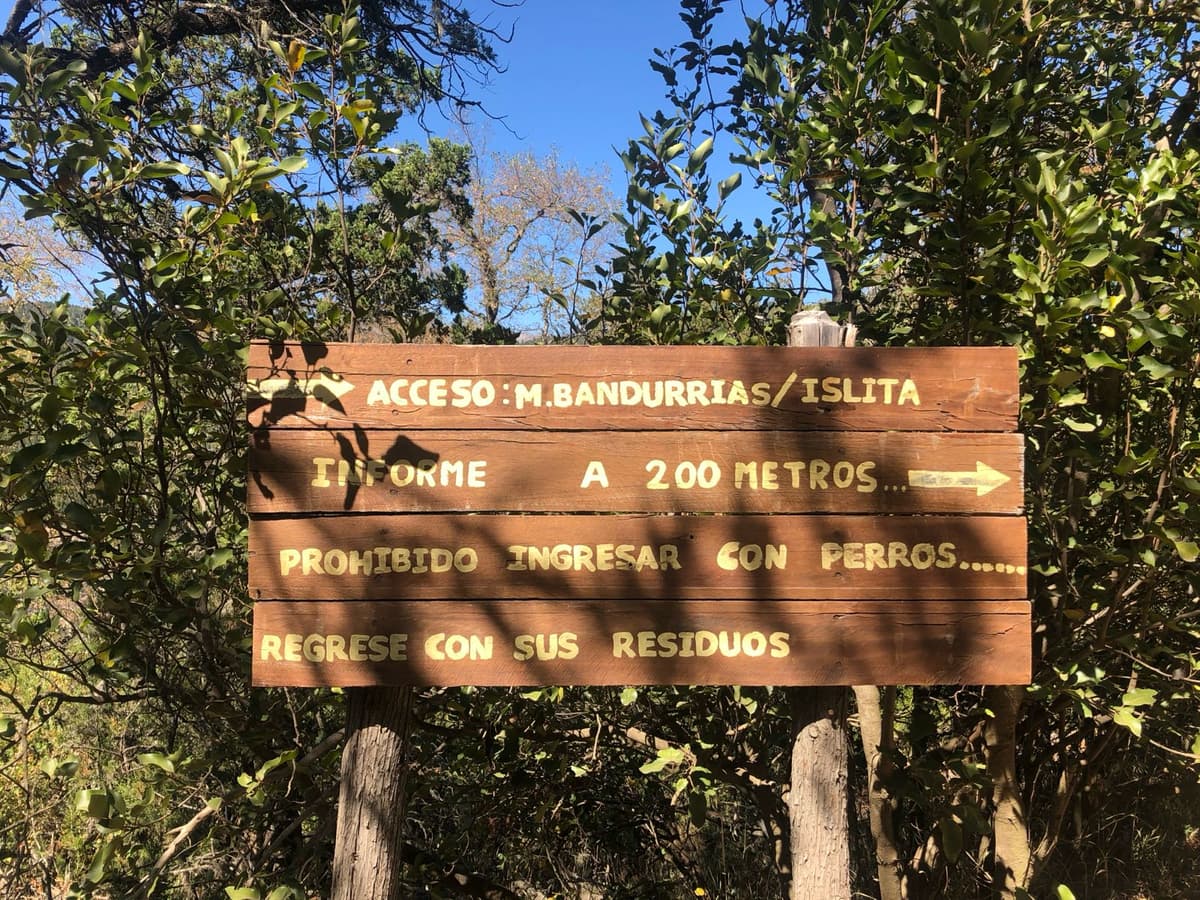 11 imperdibles en San Martín de los Andes 2026, trekkings, playas y guía completa - Imagen 4