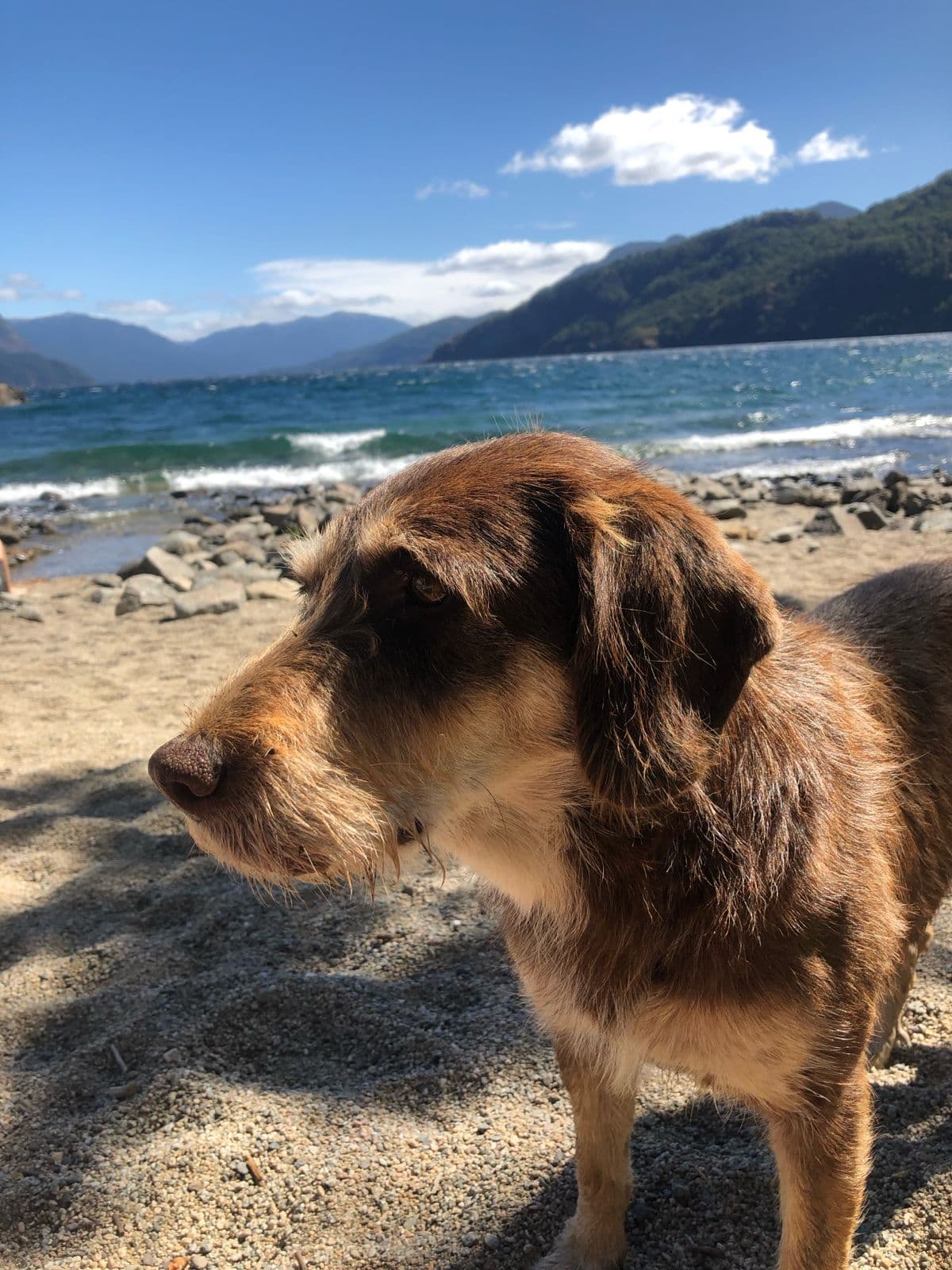 11 imperdibles en San Martín de los Andes 2026, trekkings, playas y guía completa - Imagen 9