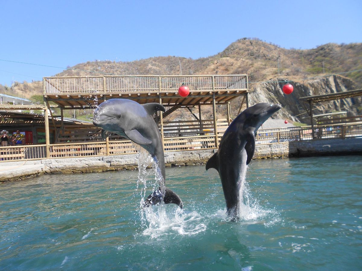Acuario y Museo del Mar en las cercanías de El Rodadero, Santa Marta, Colombia.