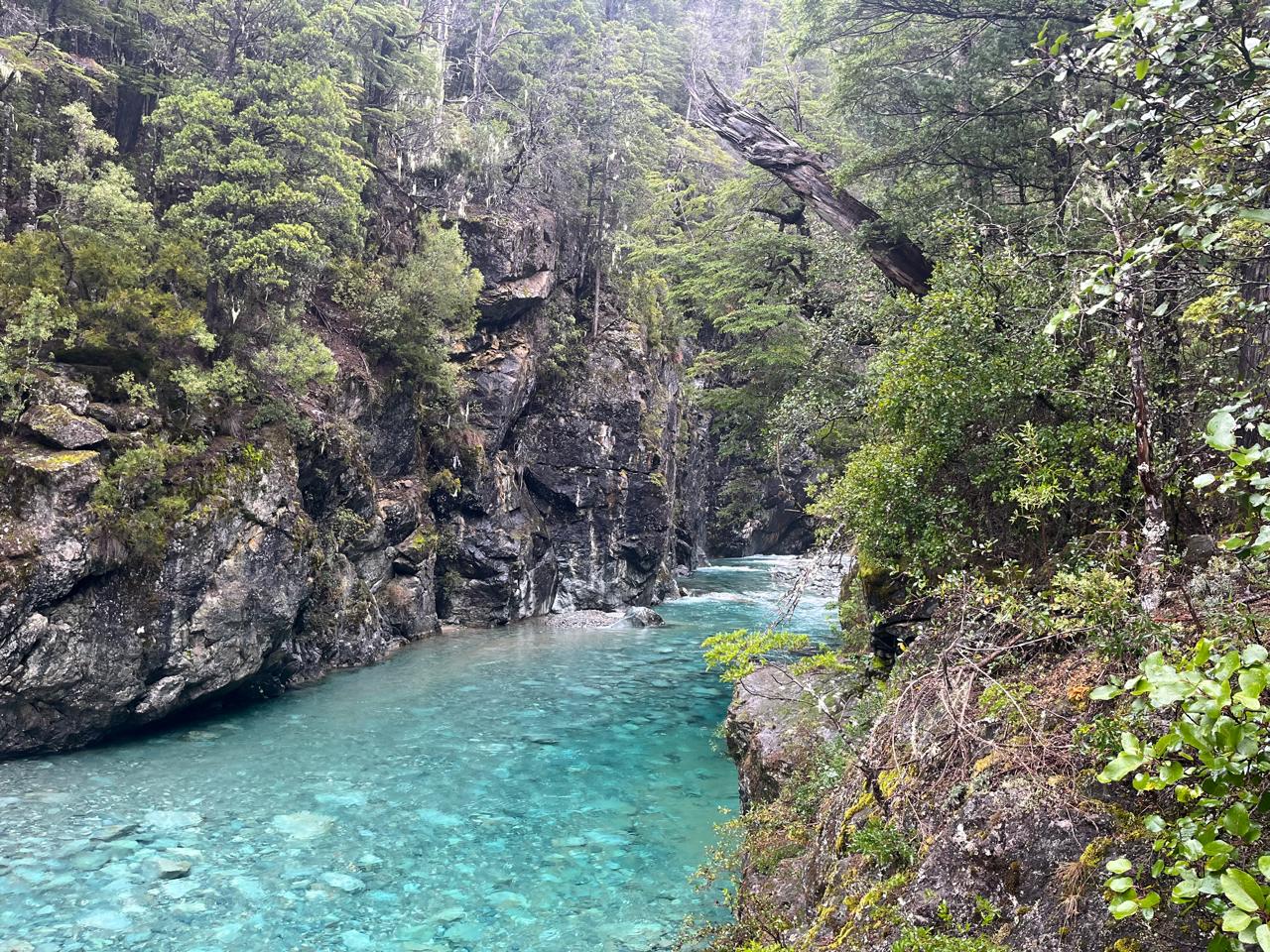 El famoso 'Cajón': aquí el Río Azul se comprime entre paredes de roca de 40 metros de altura. Este encajonamiento natural es lo que genera su profundidad extrema y ese color azul profundo que parece irreal.
