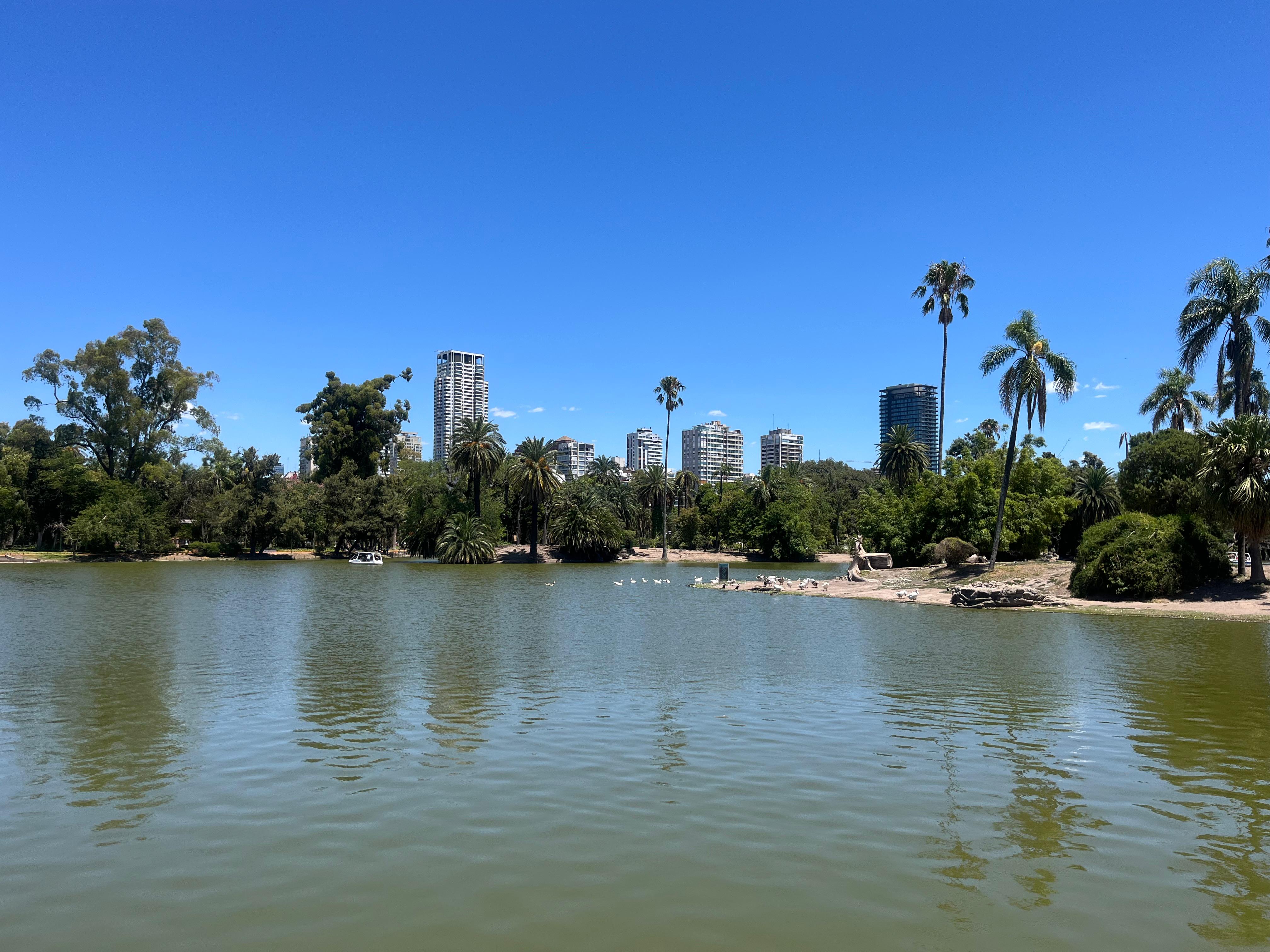 Palermo es el barrio más grande, moderno y ecléctico de Buenos Aires. Si La Boca es el pasado portuario, Palermo es el presente del diseño, la tendencia y los espacios verdes.