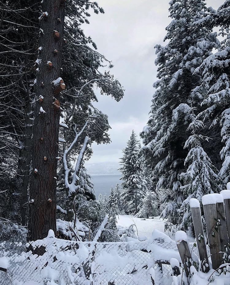 Guía completa para recorrer el Circuito Chico en Bariloche - Imagen 2