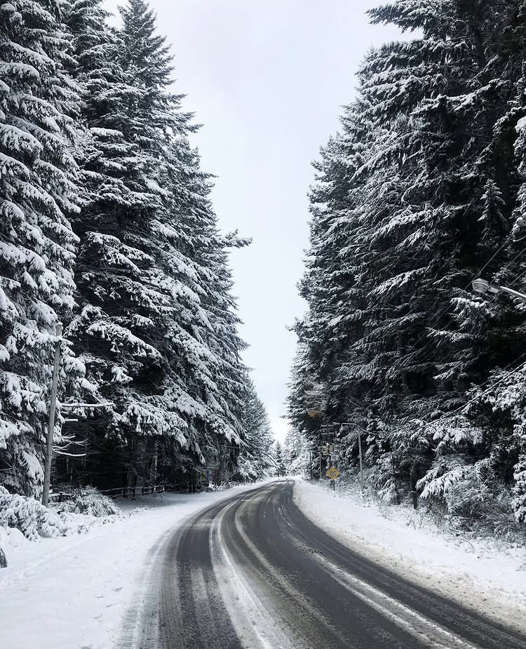 Guía completa para recorrer el Circuito Chico en Bariloche - Imagen 3