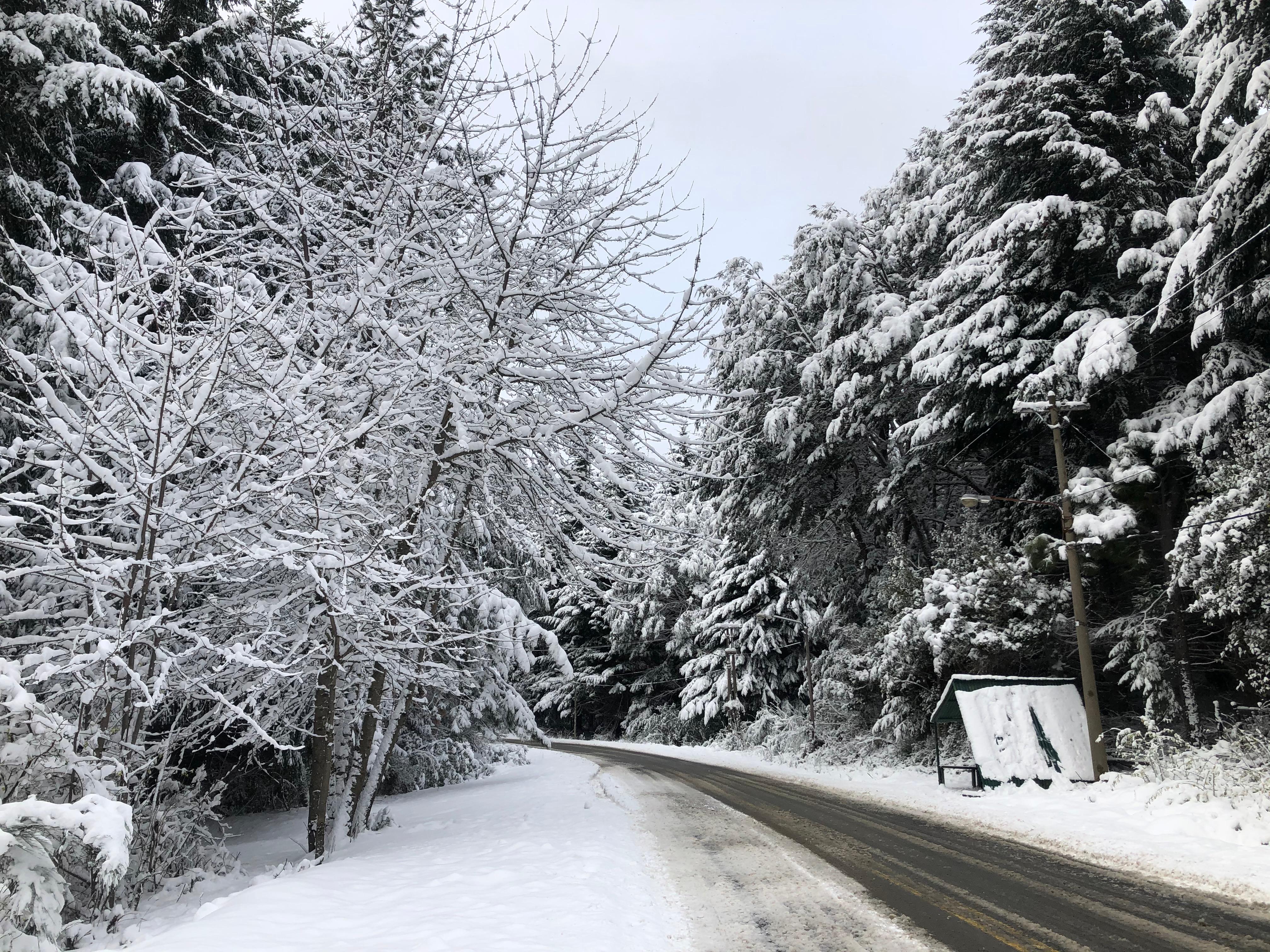 Ruta del Circuito Chico nevada en el invierno del 2020. Bariloche, Argentina.