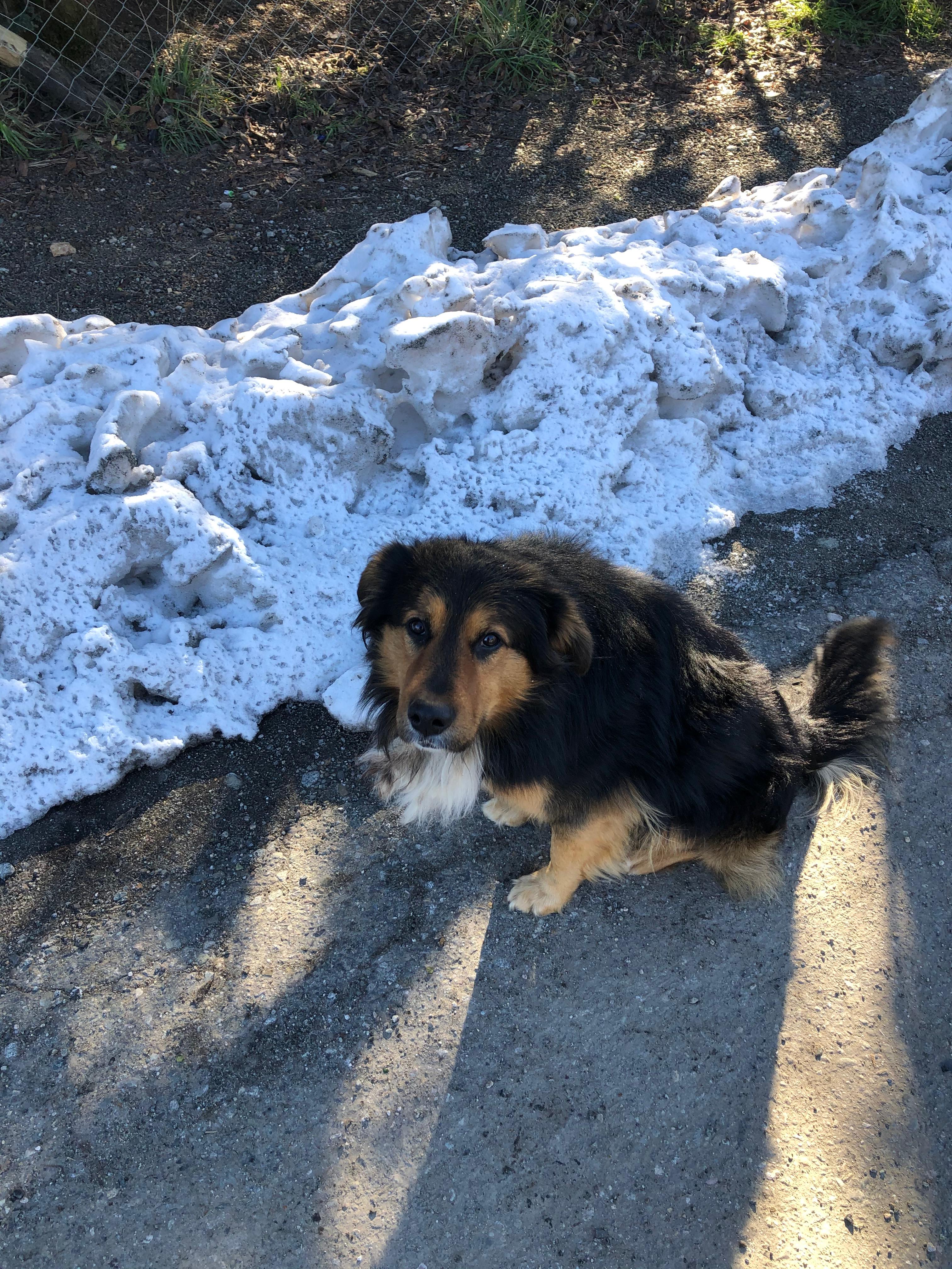 Guía completa para recorrer el Circuito Chico en Bariloche - Imagen 8