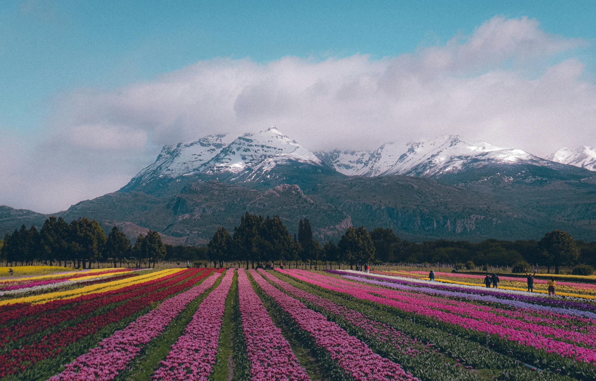 Esquel es la ciudad cabecera del noroeste de la provincia de Chubut, y la principal puerta de entrada al imponente Parque Nacional Los Alerces.