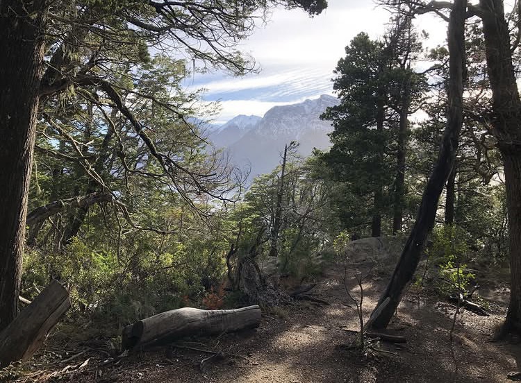 El sendero atraviesa bosques de coihues y cipreses., y tiene una duracion de aproximadamente una hora. Dificultad baja/media.