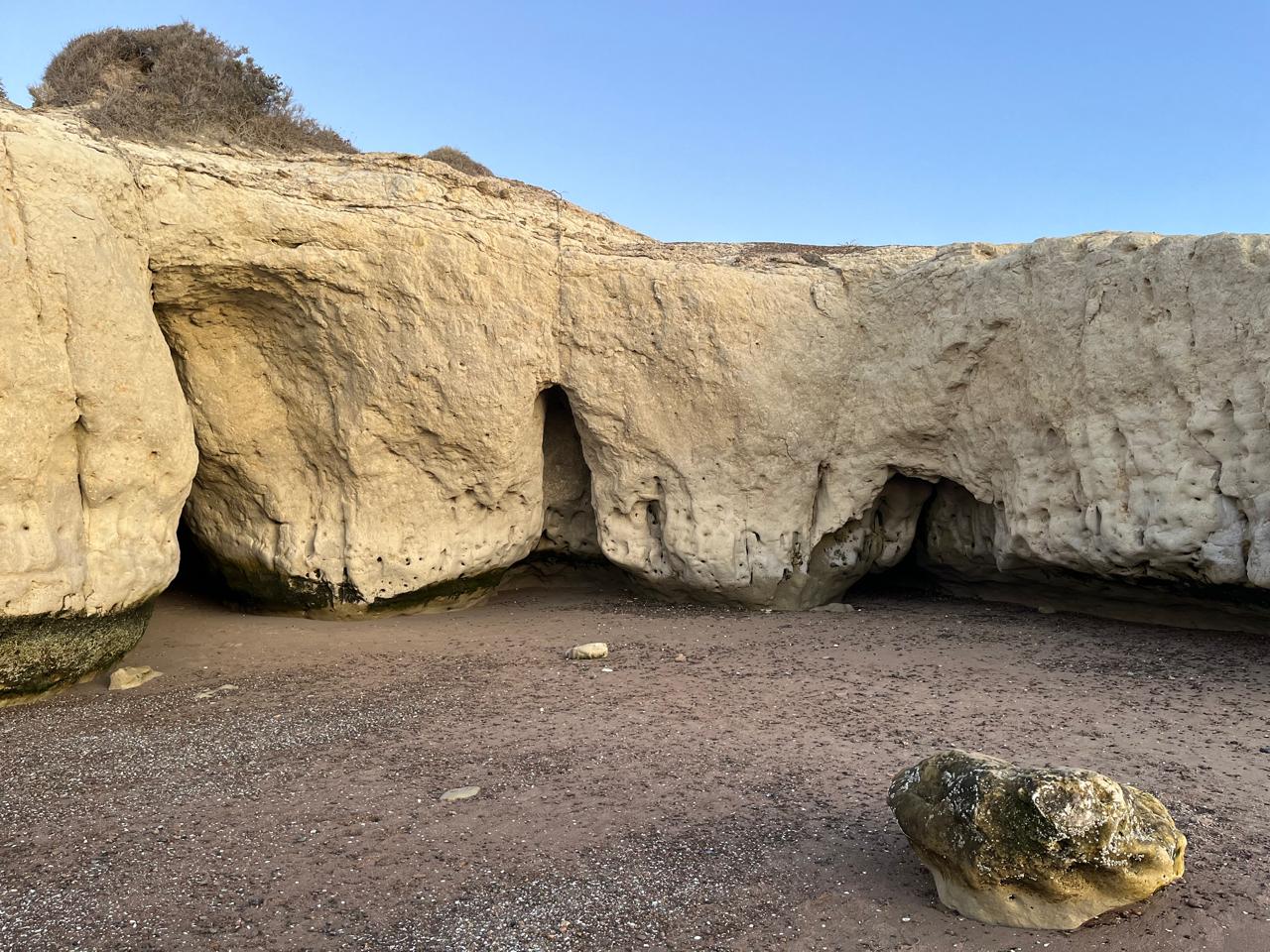Punta Cuevas, el sitio histórico donde comenzó la colonia galesa en 1865. Estas cuevas naturales y excavadas solo son accesibles cuando baja la marea, revelando un paisaje lleno de historia y fósiles marinos. Se ubican 3 kilómetros al sur del centro de la ciudad. Dato: justo arriba de las cuevas está el Museo del Desembarco, que cuenta toda la historia de cómo sobrevivieron esos pioneros en esos refugios.