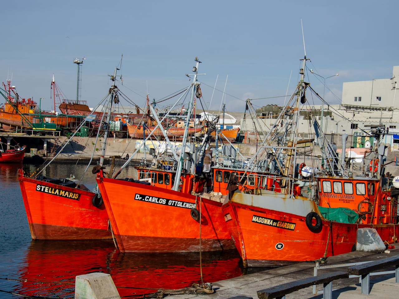 La banquina de pescadores, esta zona ofrece la experiencia más auténtica de la ciudad entre lanchas amarillas y lobos marinos. Es el polo gastronómico por excelencia para degustar mariscos frescos y platos tradicionales en sus históricas cantinas.