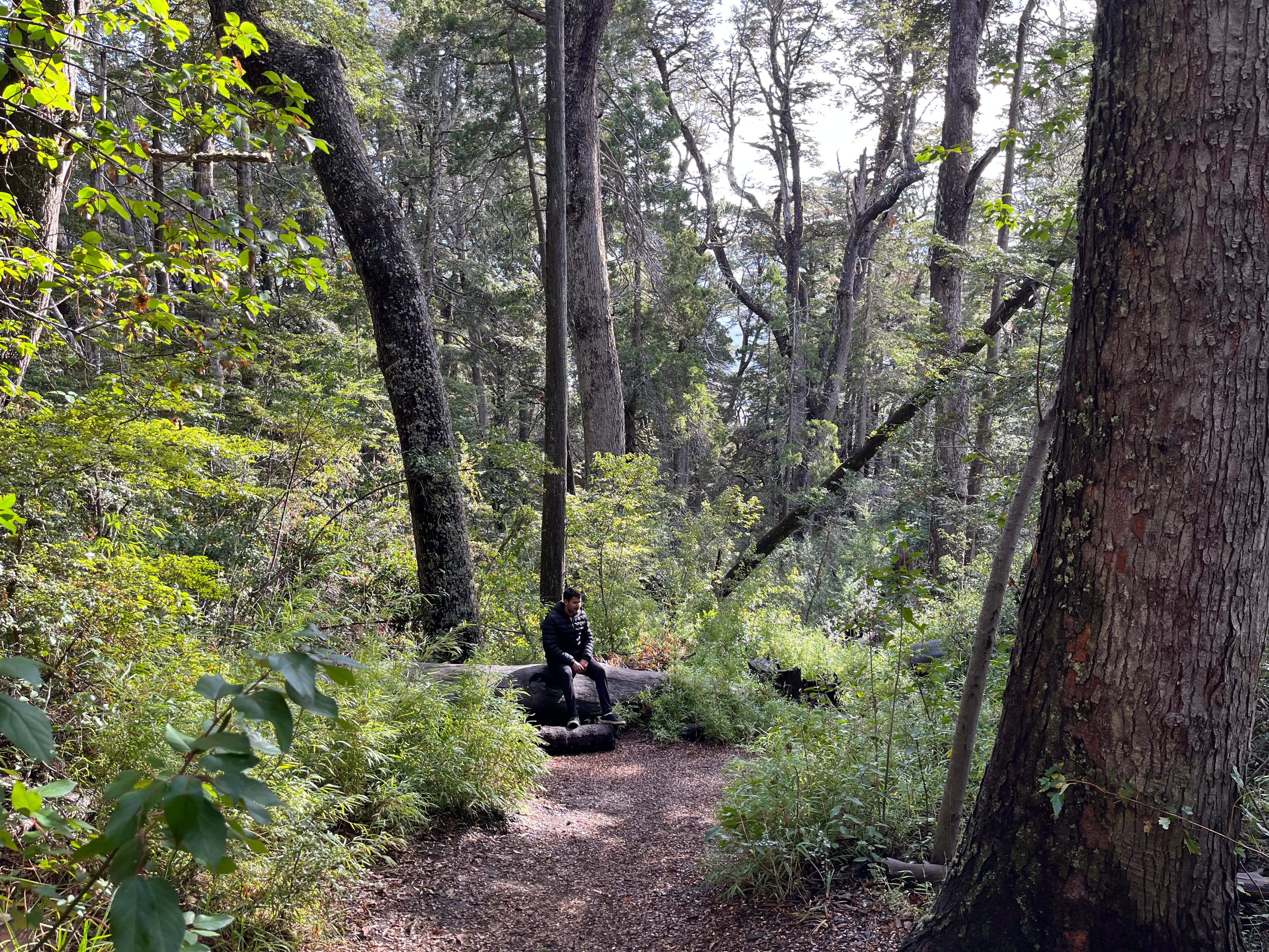 El Parque Municipal Llao Llao está abierto generalmente de 9:00 a 21:00.