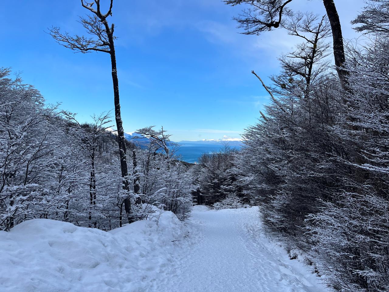 A solo pocos minutos del centro, el Glaciar Martial ofrece una de las mejores vistas panorámicas de la ciudad y el Canal Beagle.