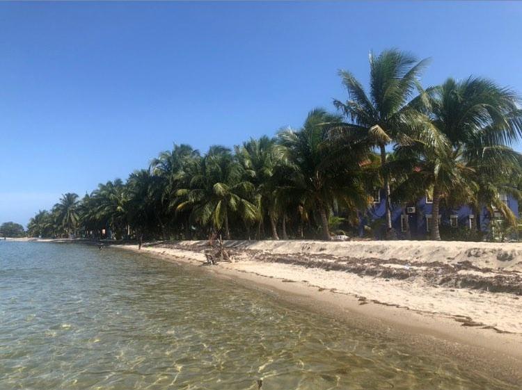 Los asentamientos importantes en la península de 18 millas de norte a sur incluyen Riversdale Village, Maya Beach Village, el pueblo garífuna de Seine Bight y finalmente, Placencia Village.