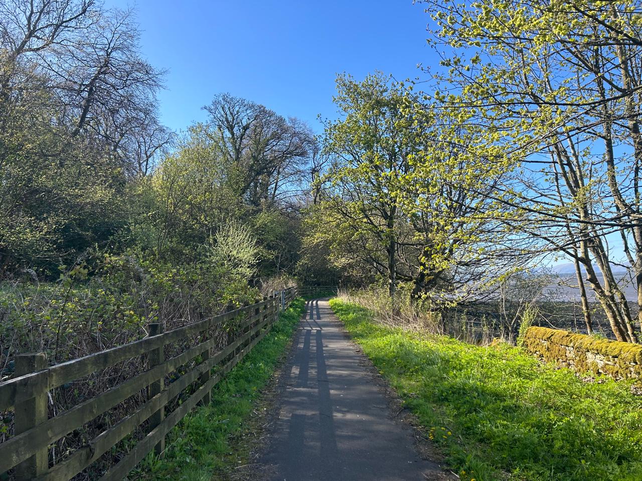 The path connecting Blackness with the Hopetoun House grounds, winding through ancient trees with constant views of the estuary.