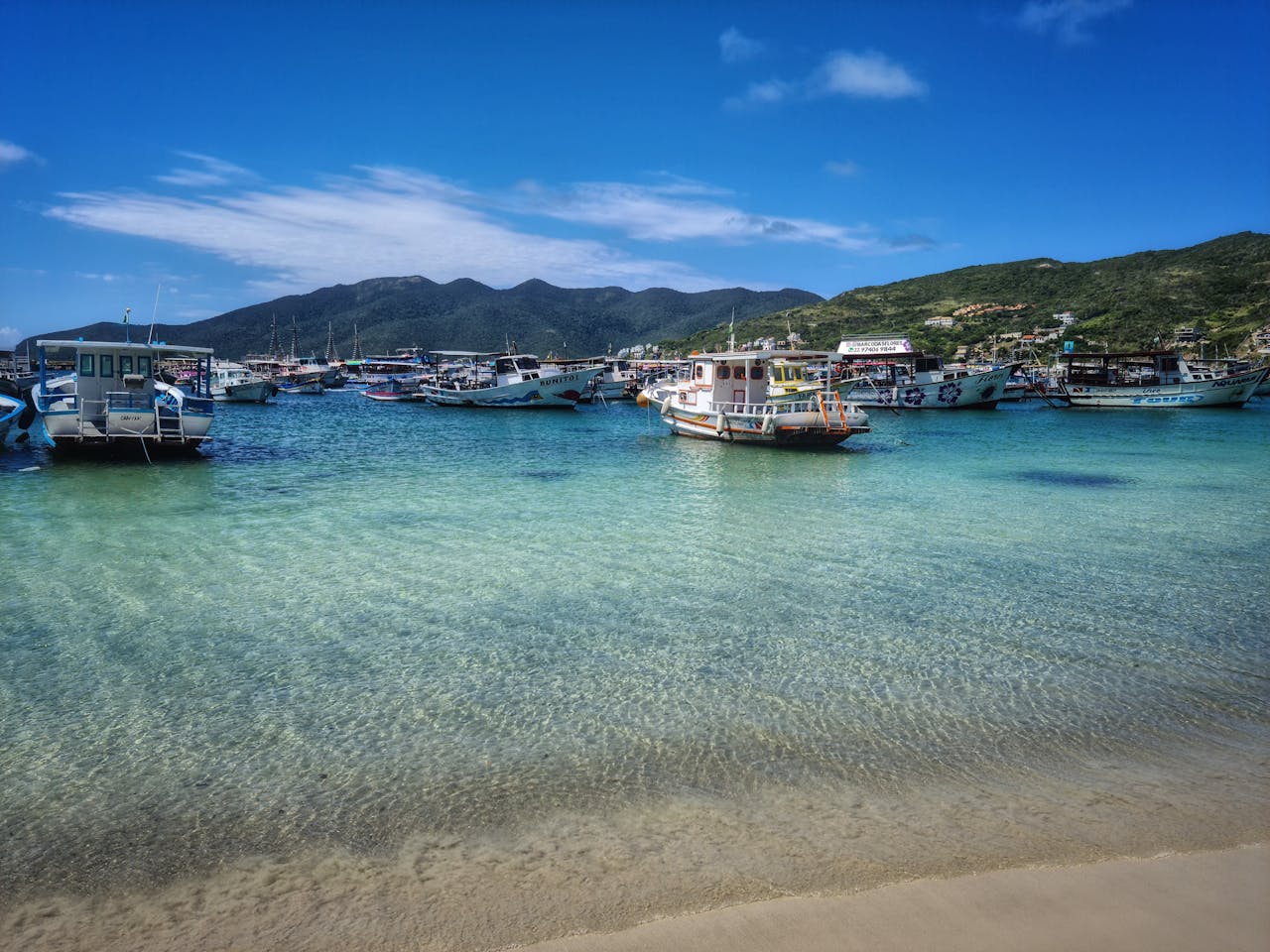 El agua es fría, generalmente entre 15°C y 22°C (aunque en verano puede subir un poco más).  Esta agua es riquísima en comida para la fauna, lo que atrae a una biodiversidad enorme. Es la capital del buceo. Es muy común ver tortugas marinas, caballitos de mar y rayas.