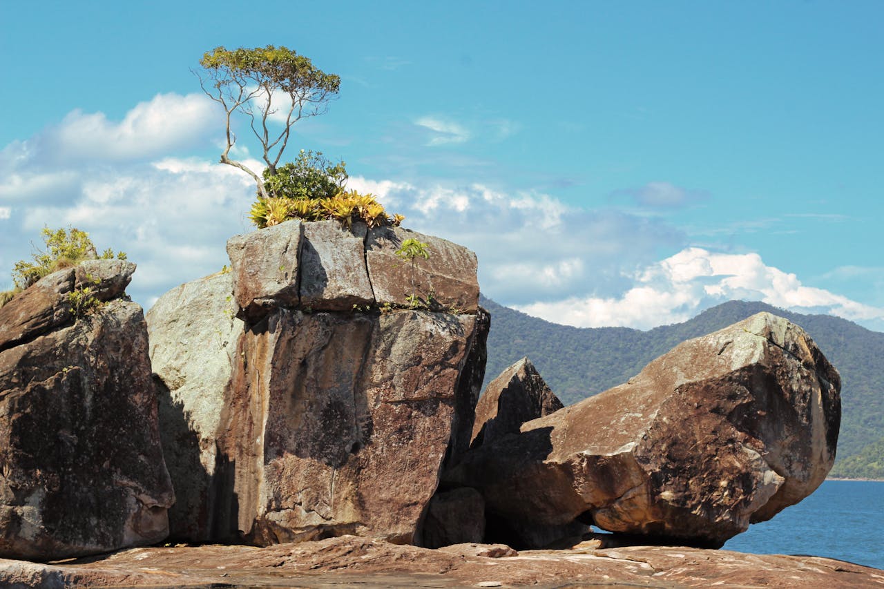 Ubatuba es un destino de selva y playas paradisíacas en el sur de San Pablo, Brasil.