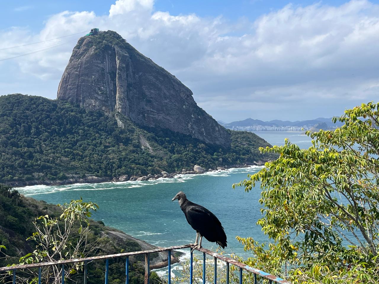 Vista desde el Forte de Copacabana hacia el Pan de Azucar, Río de Janeiro, Brasil.