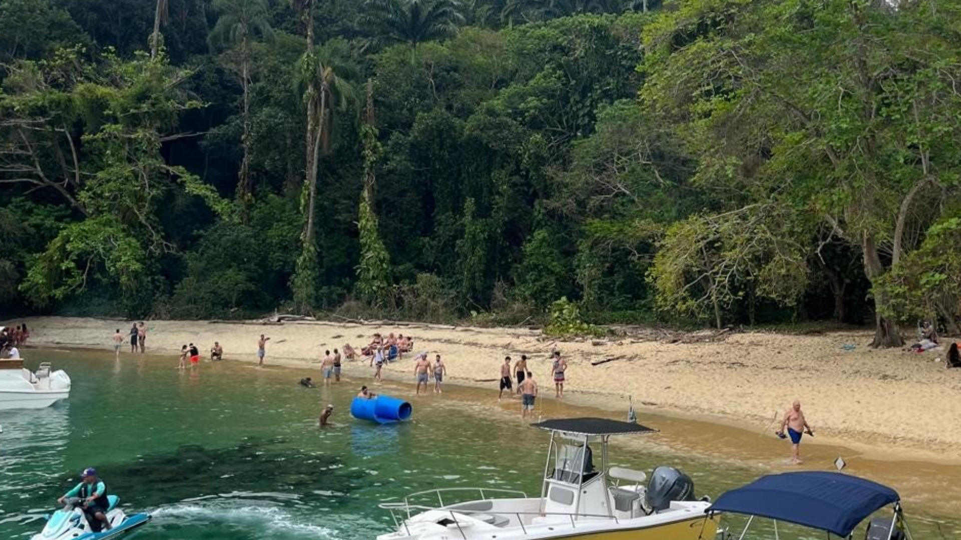 La Ilha Grande está cubierta por el bioma de Mata Atlántica. Es una selva tropical muy densa y húmeda que llega literalmente hasta el borde del mar.