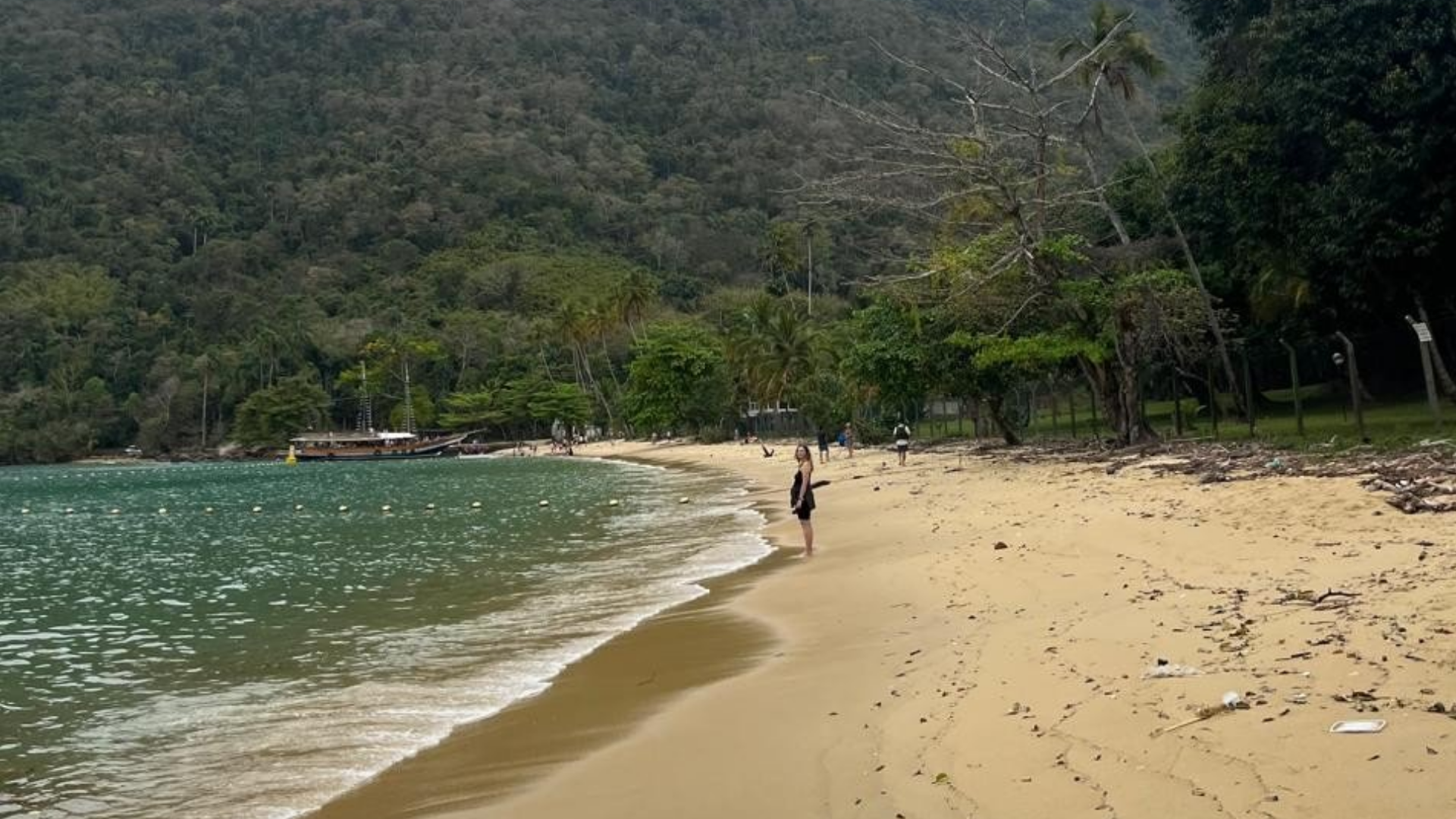 Vas a ver muchos árboles de madera noble (como el Jequitibá), bromelias, orquídeas y palmeras de palmito. En los senderos, el suelo suele estar cubierto de raíces y hojas secas por la alta humedad.