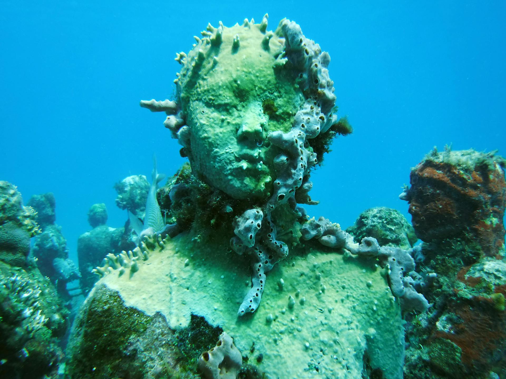 Vista detallada de una escultura con incrustaciones marinas en el Museo Subacuático de Arte de Cancún, Quintana Roo, Mexico.