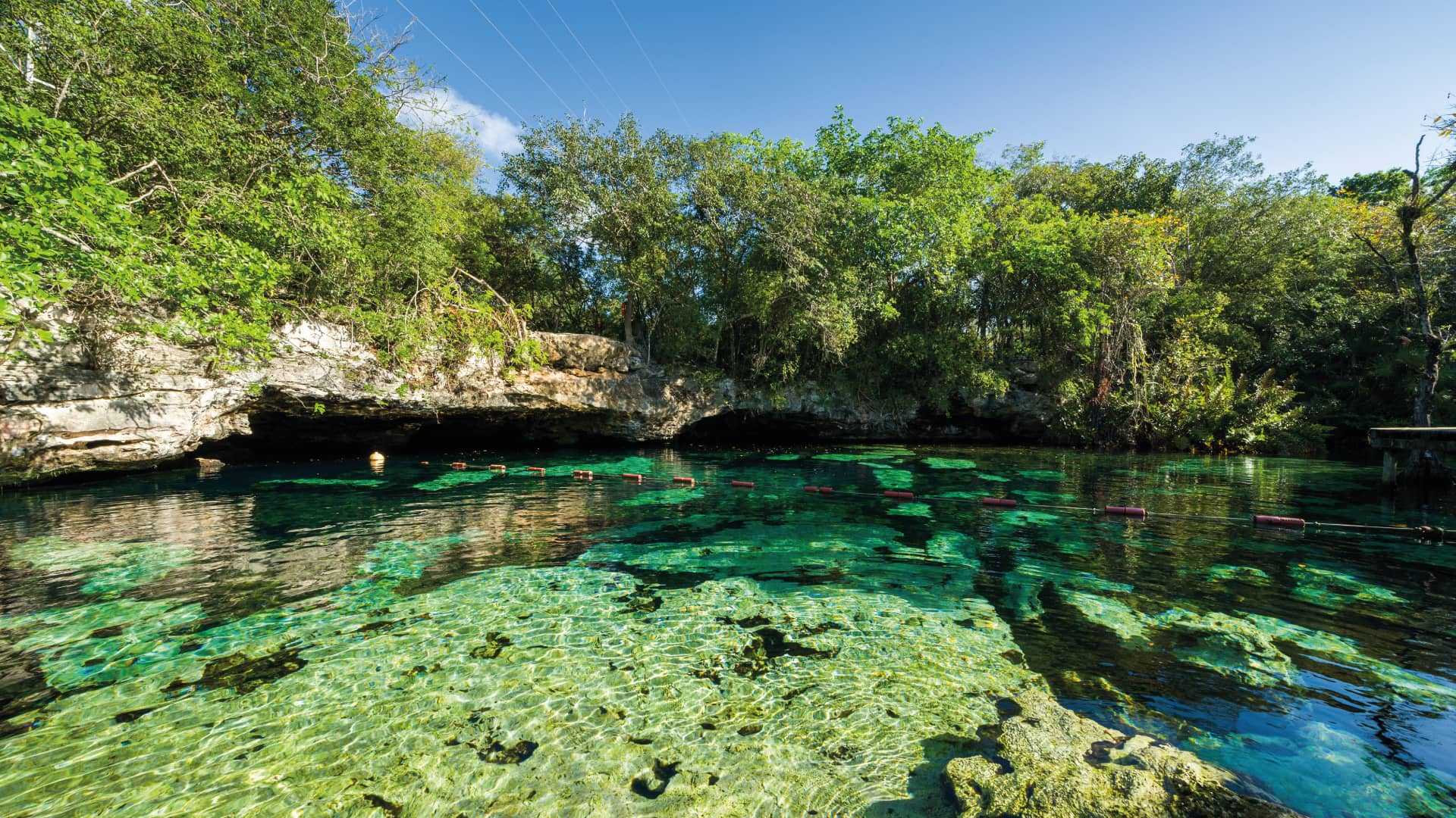 Cenote Azul. Es uno de los cenotes abiertos más populares debido a sus aguas cristalinas de color turquesa y su fácil acceso.