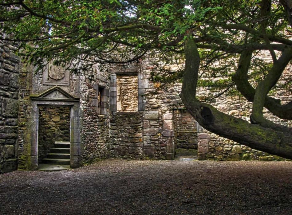 O histórico pátio interno do Castelo de Craigmillar com a famosa árvore teixo centenária cercada por muralhas de pedra.