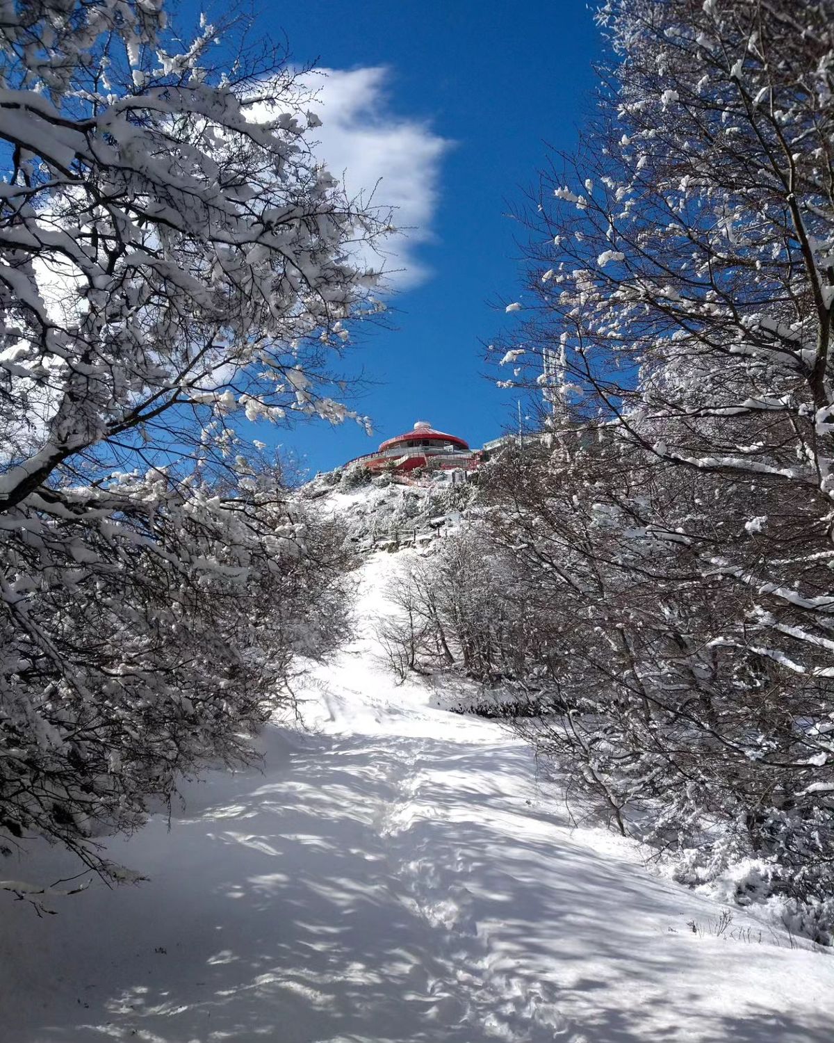 Complete Guide to Visiting Cerro Otto in Bariloche 2026: Cable Car, Trails, and Revolving Cafeteria - Imagen 7