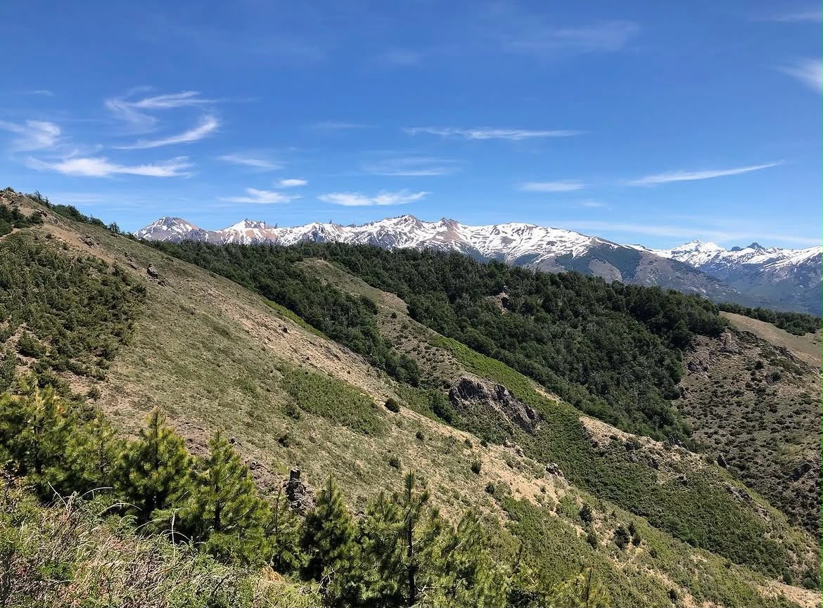 Complete Guide to Visiting Cerro Otto in Bariloche 2026: Cable Car, Trails, and Revolving Cafeteria - Imagen 8