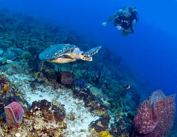 Cozumel, Quintana Roo, Mexico.