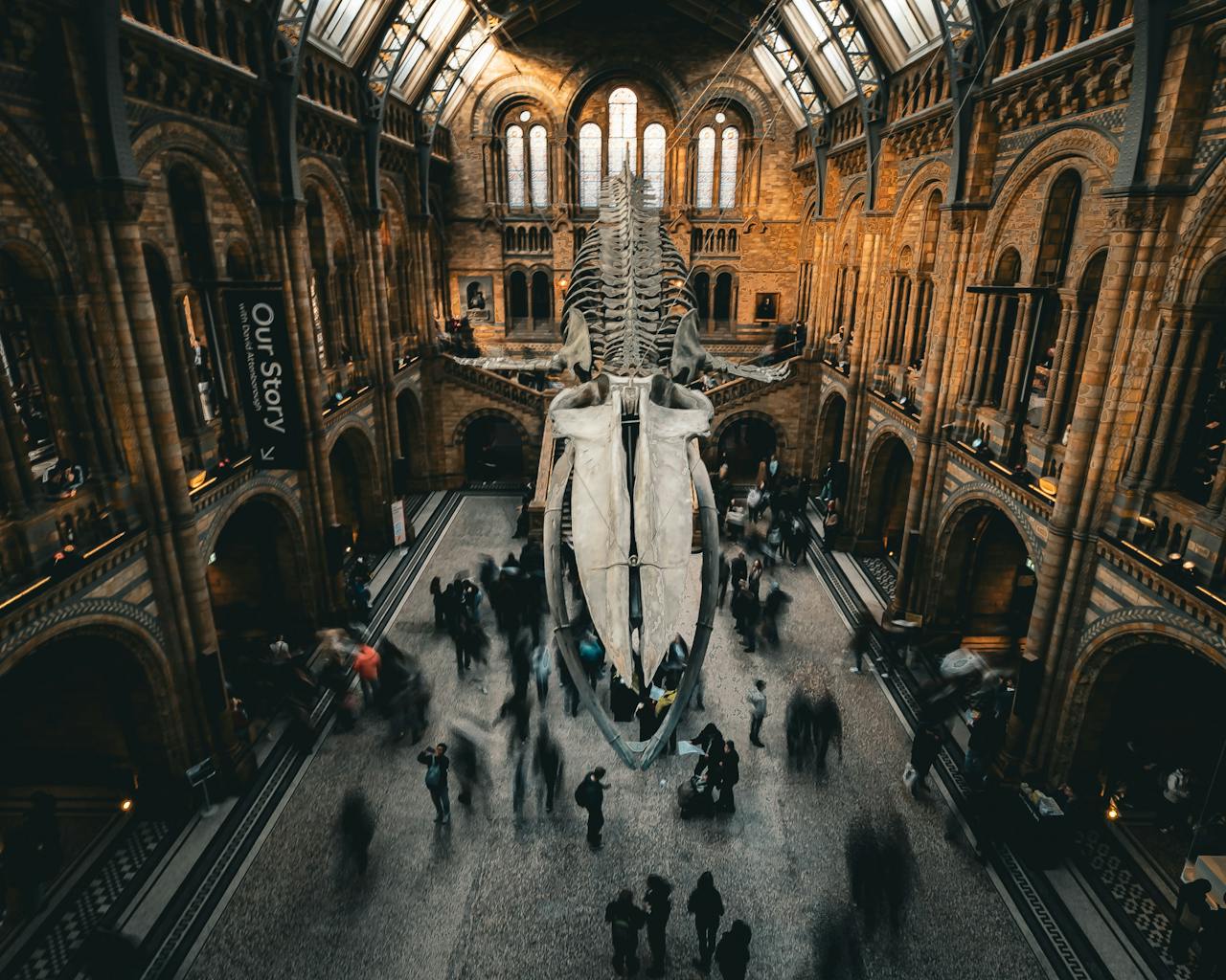 La espectacular Grand Gallery del Museo Nacional de Escocia, una obra maestra de la arquitectura victoriana llena de luz y tesoros históricos.