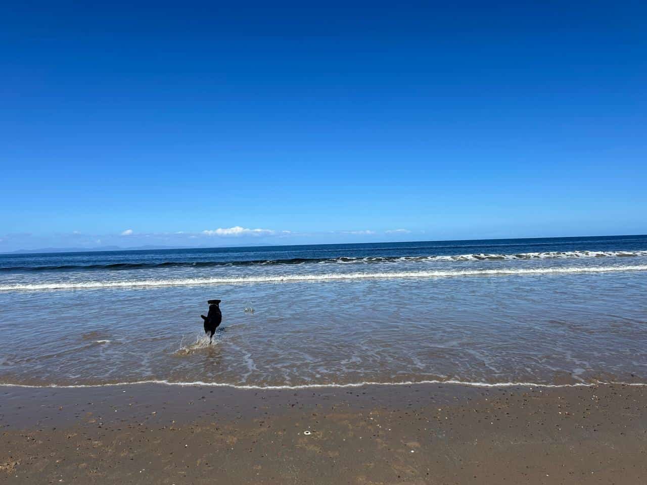 Things to See in Findhorn: Beach, Seals, and Scotland's Ecovillage - Imagen 1