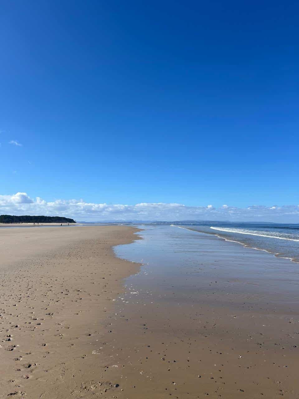 Things to See in Findhorn: Beach, Seals, and Scotland's Ecovillage - Imagen 2